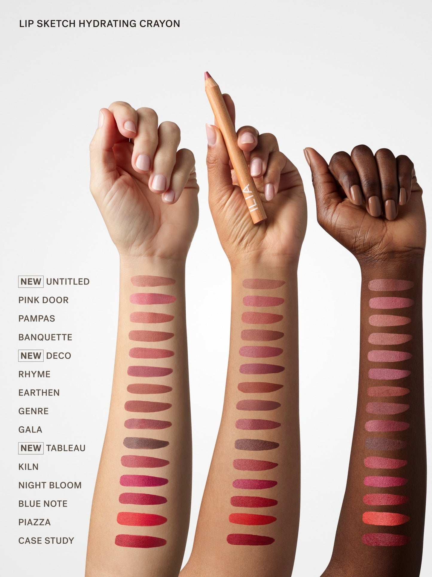 The Complexion + Color Set