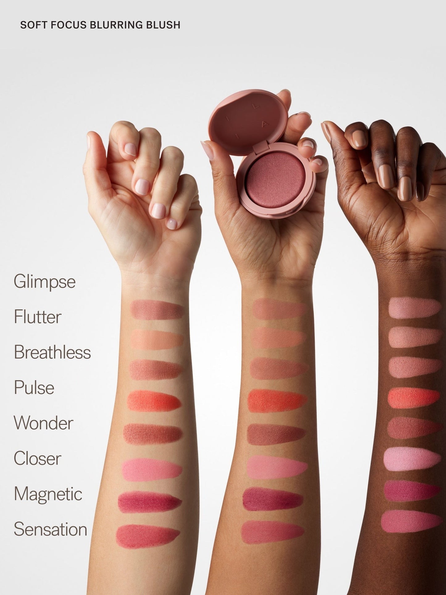 The Complexion + Color Set