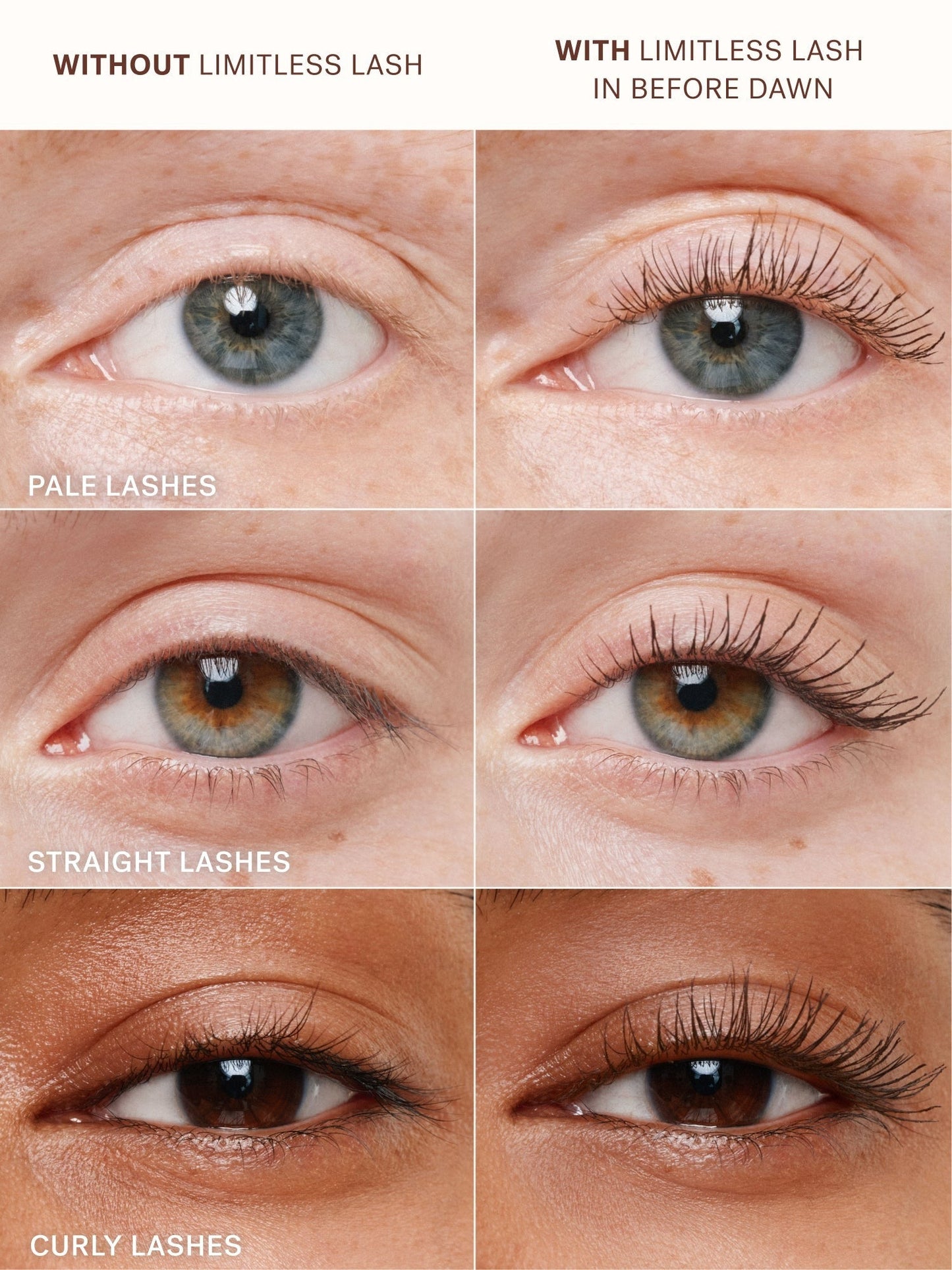 The Complexion + Color Set